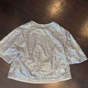 H&M Shimmering Silver Sequin Short Sleeve Top
